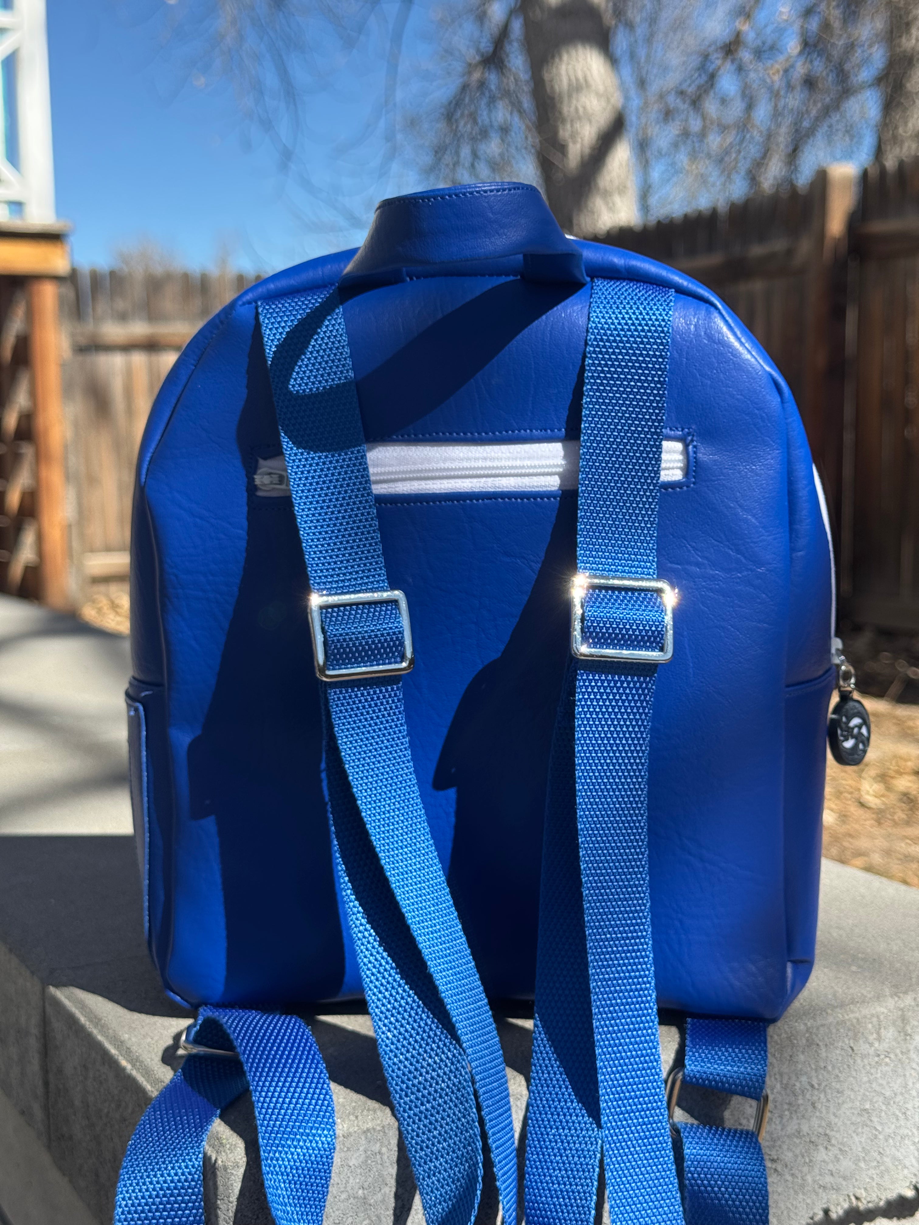 KARMA Album Backpack